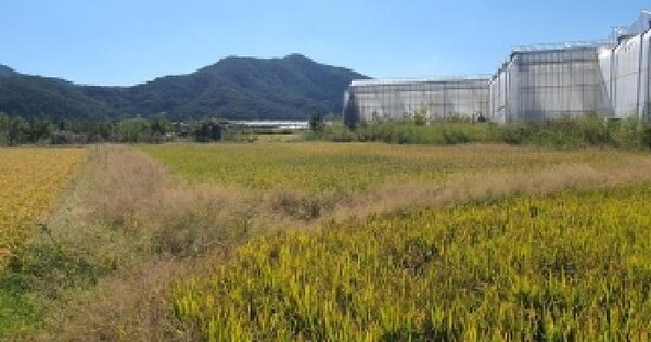 경상남도 창원시 마산합포구 진전면 이명리 308-1  답 경매 물건 이미지