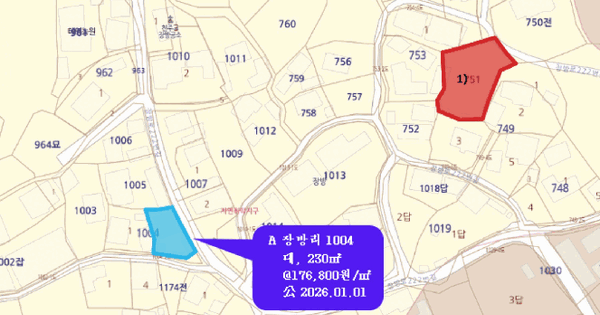 경상남도 김해시 한림면 장방리 751  대지 경매 물건 이미지