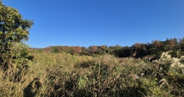경상북도 경주시 조양동 521-2  답 경매 물건 이미지