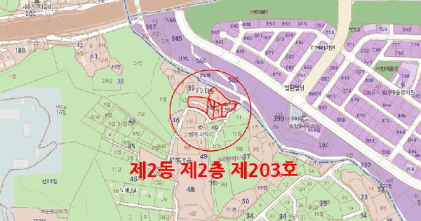 세종특별자치시  장군면 봉안리 38-2 2동 2층203호 근린상가 경매 물건 이미지