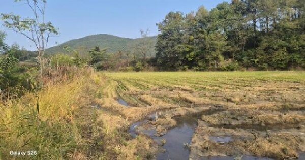 충청남도 천안시 동남구 원성동 41  전 경매 물건 이미지