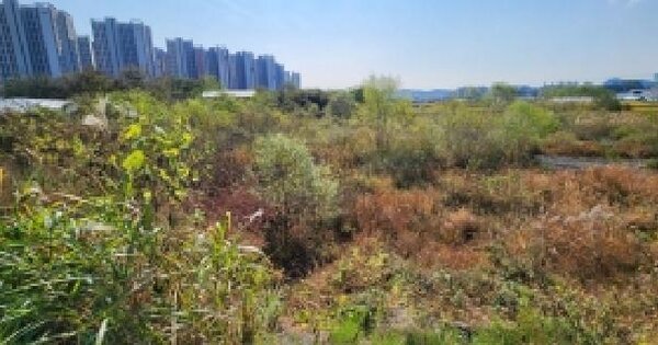 경기도 양주시 옥정동 852-3  답 경매 물건 이미지