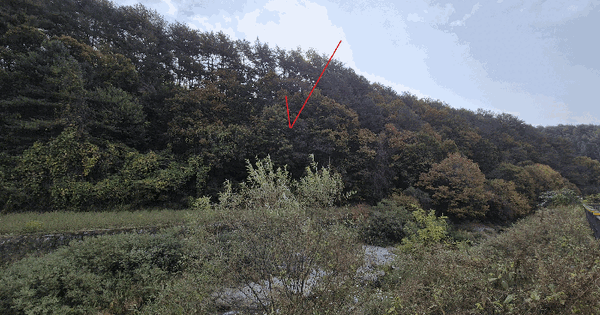 강원특별자치도 화천군 사내면 명월리 산7  임야 경매 물건 이미지