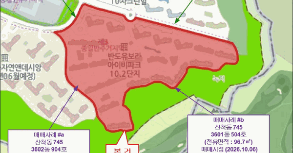 경기도 화성시 동탄구 산척동 745 레이크힐반도유보라아이비파크10.2 3614동 10층1003호 미지정 경매 물건 이미지