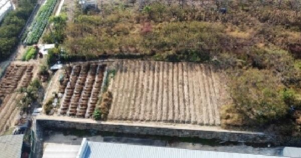 경상북도 김천시 아포읍 국사리 840-8  과수원 경매 물건 이미지