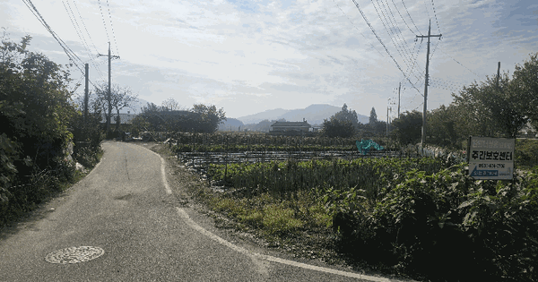 경기도 안성시 일죽면 주천리 492-5  전 경매 물건 이미지