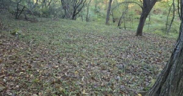 충청북도 충주시 용탄동 438  전 경매 물건 이미지
