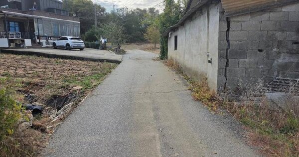 경기도 평택시 팽성읍 신대리 235-2  전 경매 물건 이미지