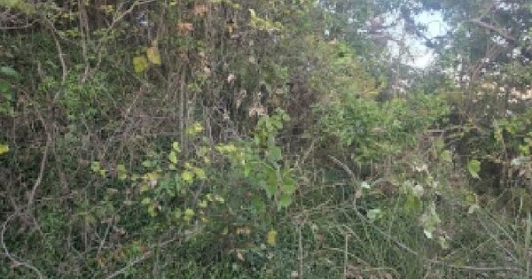 전남광주통합특별시 순천시 별량면 학산리 754  전 경매 물건 이미지