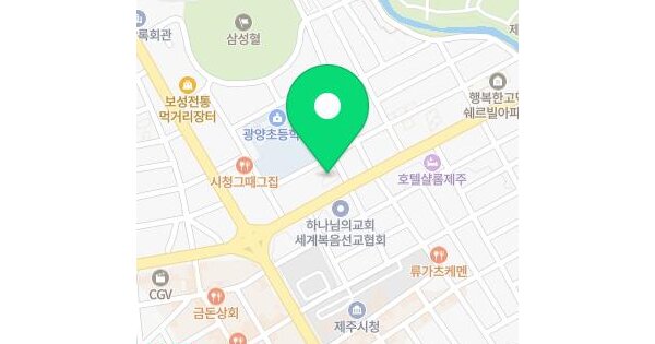 제주특별자치도 제주시 이도일동 1258-1 장원스카이팰리스 7층 705호 아파트 경매 물건 이미지