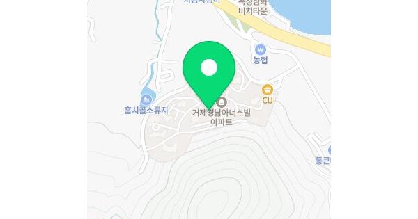 경상남도 거제시 사등면 사곡리 918 거제경남아너스빌 109동 1층101호 아파트 경매 물건 이미지