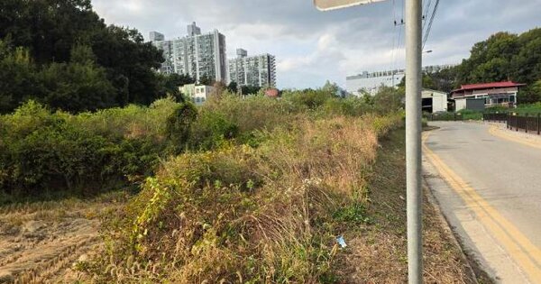 경기도 이천시 대월면 사동리 439-12  임야 경매 물건 이미지