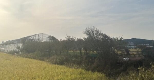 충청북도 청주시 흥덕구 오송읍 정중리 501  답 경매 물건 이미지