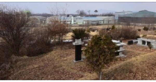 충청북도 음성군 삼성면 선정리 15-2  미지정 경매 물건 이미지