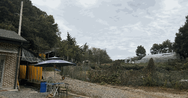 경기도 파주시 문산읍 운천리 54-117  임야 경매 물건 이미지