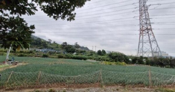 부산광역시 강서구 화전동 280-1  답 경매 물건 이미지
