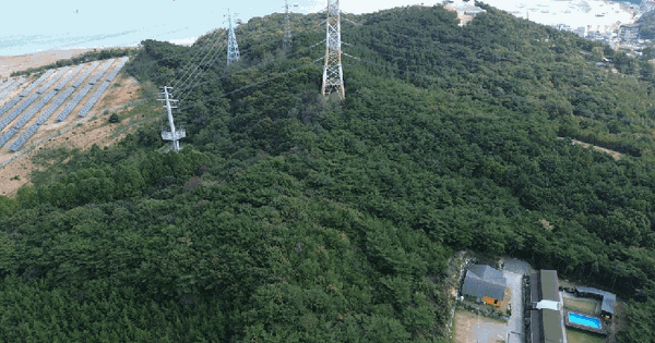 충청남도 당진시 석문면 교로리 878-12  임야 경매 물건 이미지