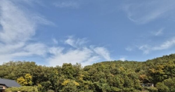대구광역시 군위군 부계면 명산리 산5  미지정 경매 물건 이미지