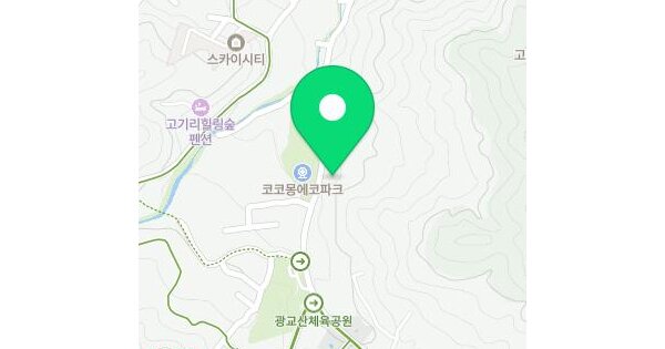 경기도 용인시 수지구 고기동 275  미지정 경매 물건 이미지