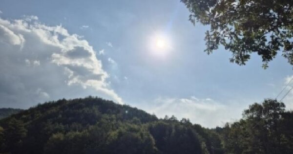 강원특별자치도 고성군 간성읍 탑동리 산188  미지정 경매 물건 이미지