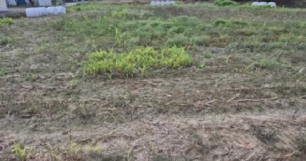 강원특별자치도 고성군 거진읍 대대리 505-2  미지정 경매 물건 이미지