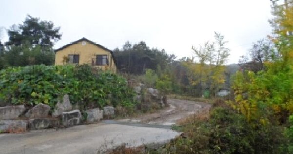 전북특별자치도 임실군 임실읍 금성리 304  단독주택 경매 물건 이미지