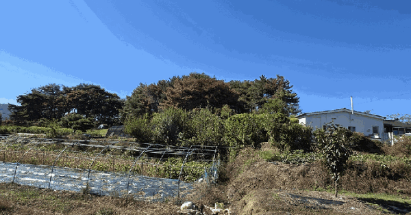경상남도 함안군 법수면 윤외리 465-1  임야 경매 물건 이미지