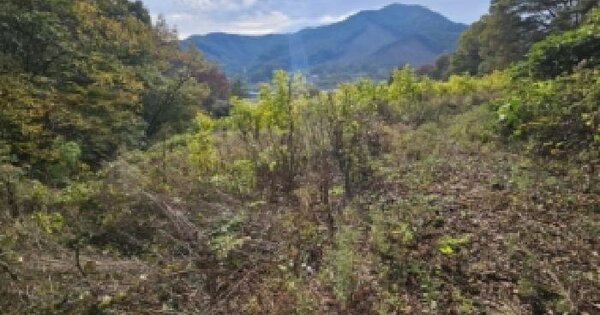 충청북도 괴산군 청안면 장암리 359-1  미지정 경매 물건 이미지