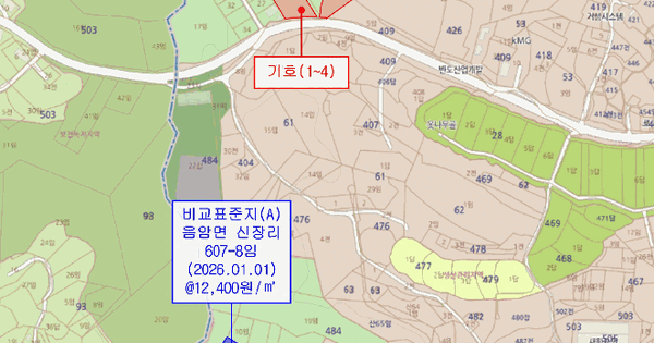 충청남도 서산시 음암면 신장리 404-15  임야 경매 물건 이미지