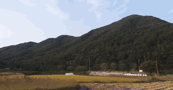 충청북도 진천군 진천읍 상계리 산9-1  임야 경매 물건 이미지