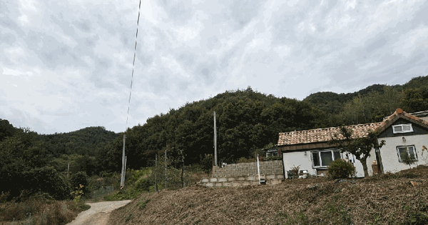 충청남도 예산군 신양면 대덕리 산42  임야 경매 물건 이미지