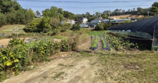 세종특별자치시  장군면 봉안리 235-5  답 경매 물건 이미지