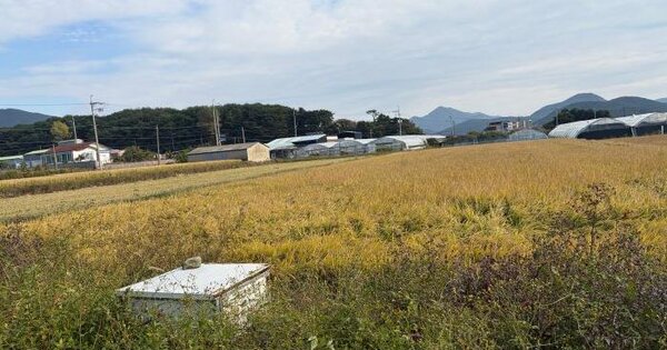 경상남도 거제시 거제면 서정리 572-4  답 경매 물건 이미지