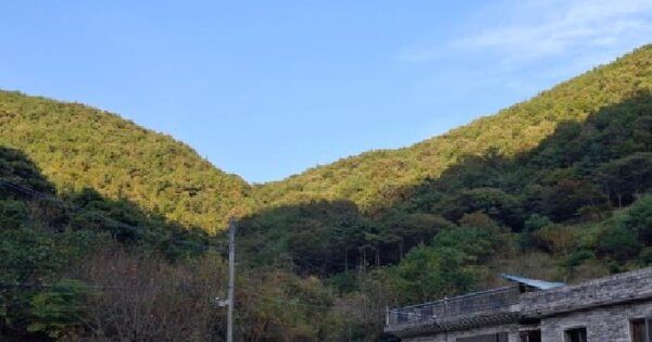 경상남도 산청군 단성면 백운리 산46  임야 경매 물건 이미지
