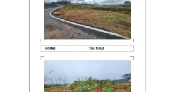 전남광주통합특별시 신안군 압해읍 동서리 163-3  전 경매 물건 이미지