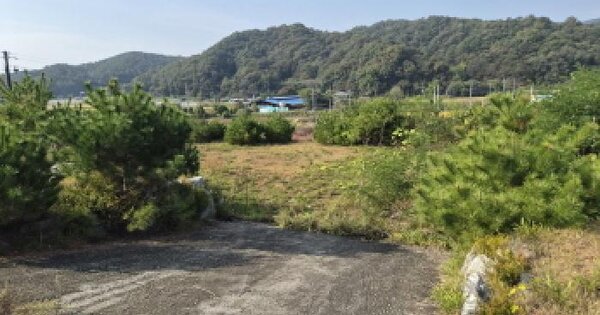 세종특별자치시  장군면 태산리 188-31  미지정 경매 물건 이미지