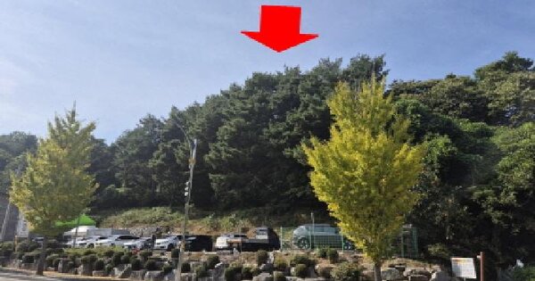 강원특별자치도 속초시 조양동 산268-4  미지정 경매 물건 이미지