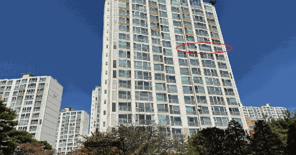 경기도 용인시 기흥구 보정동 1298 더샵 보정애비뉴 2단지 308동 12층1201호 아파트 경매 물건 이미지