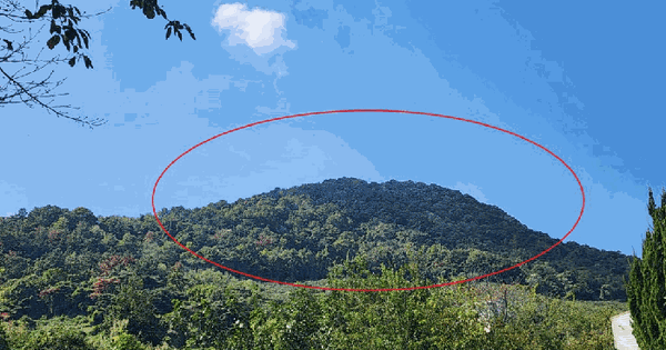 경상남도 김해시 진영읍 죽곡리 산97  임야 경매 물건 이미지