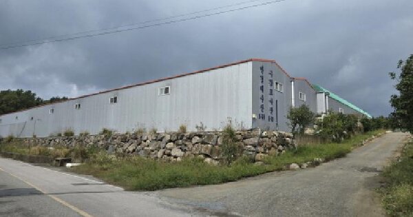 전남광주통합특별시 강진군 대구면 구수리 1153-13  동물 및 식물 관련시설 경매 물건 이미지