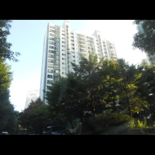 물건 사진